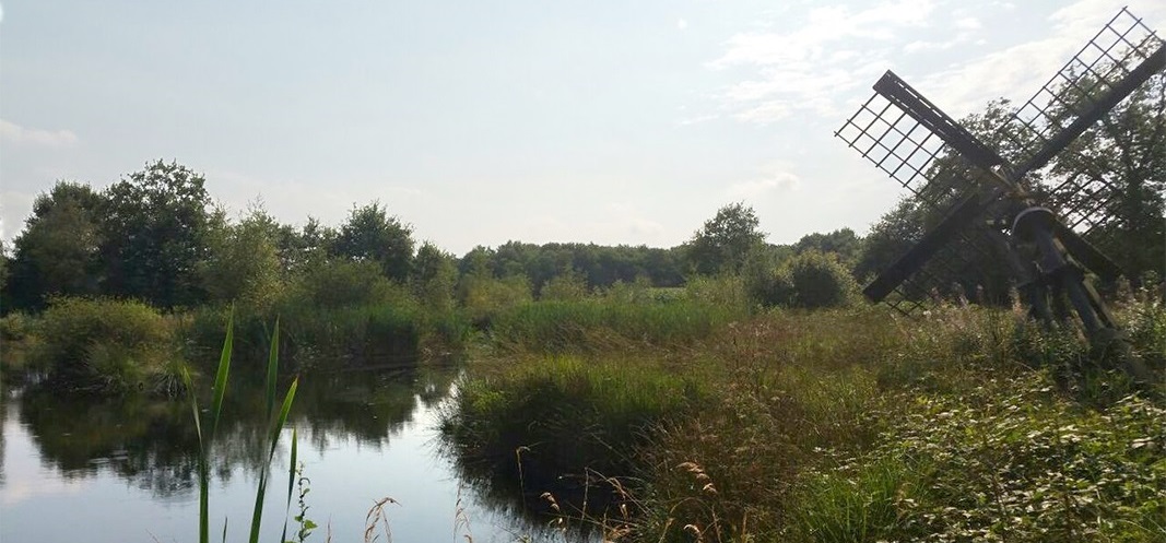 Bollenveen 4 panorama